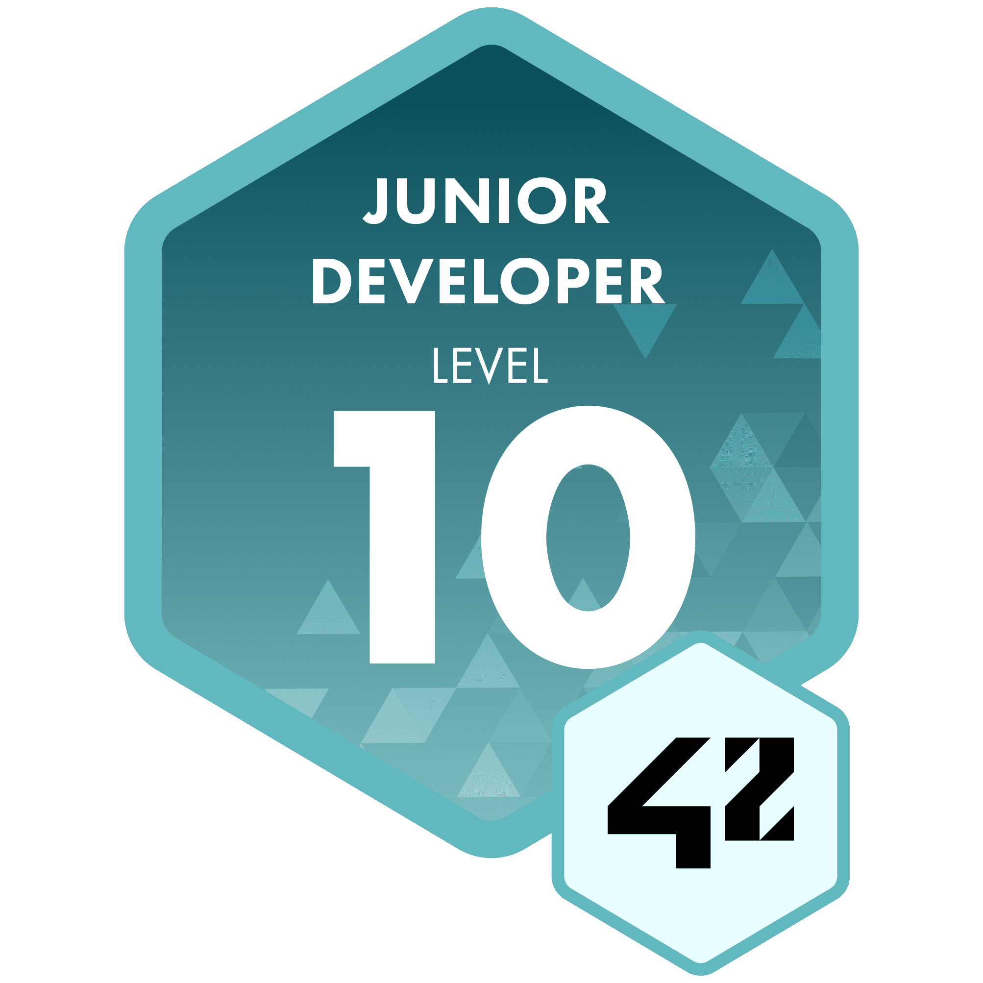 Junior Developer - Level 10