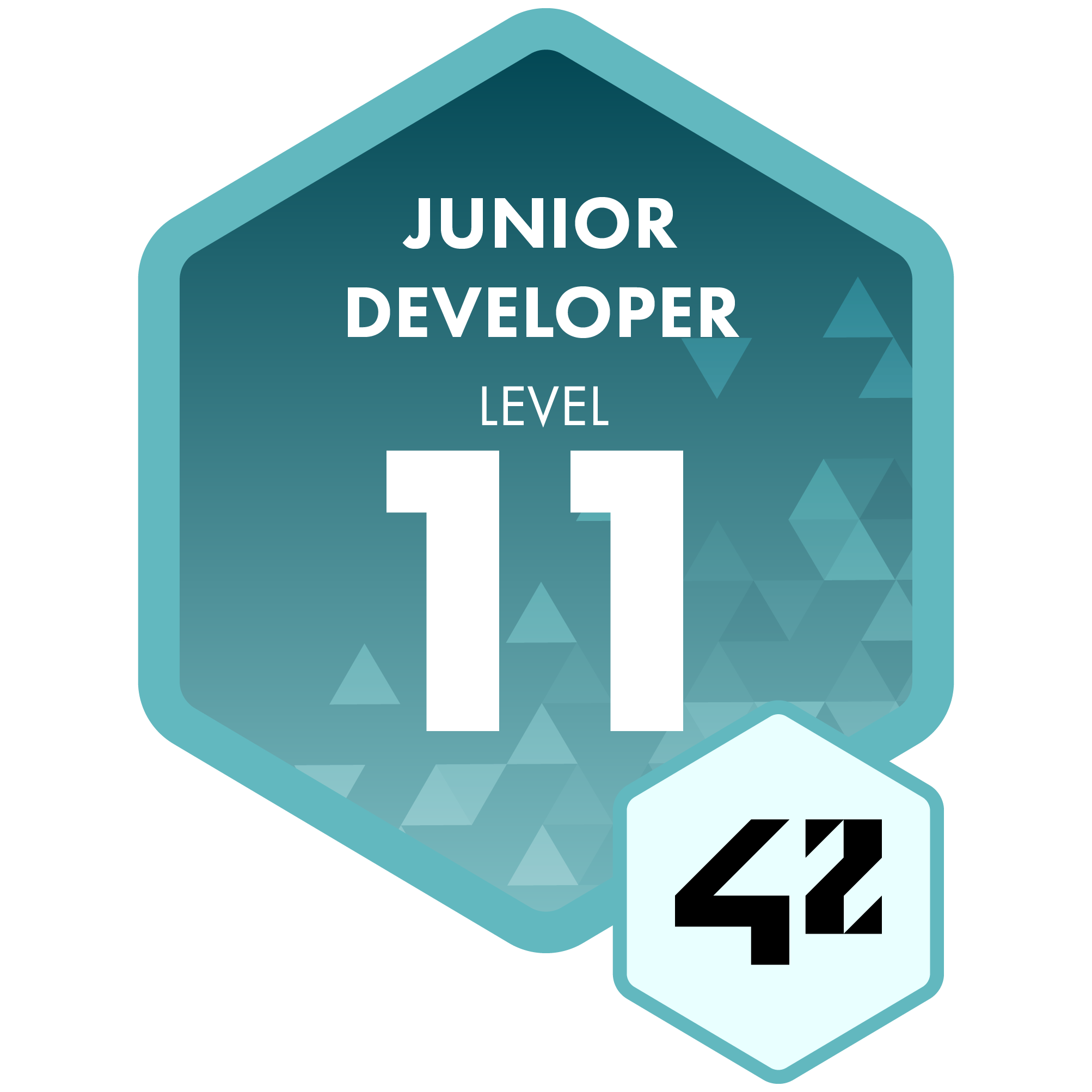 Junior Developer - Level 11