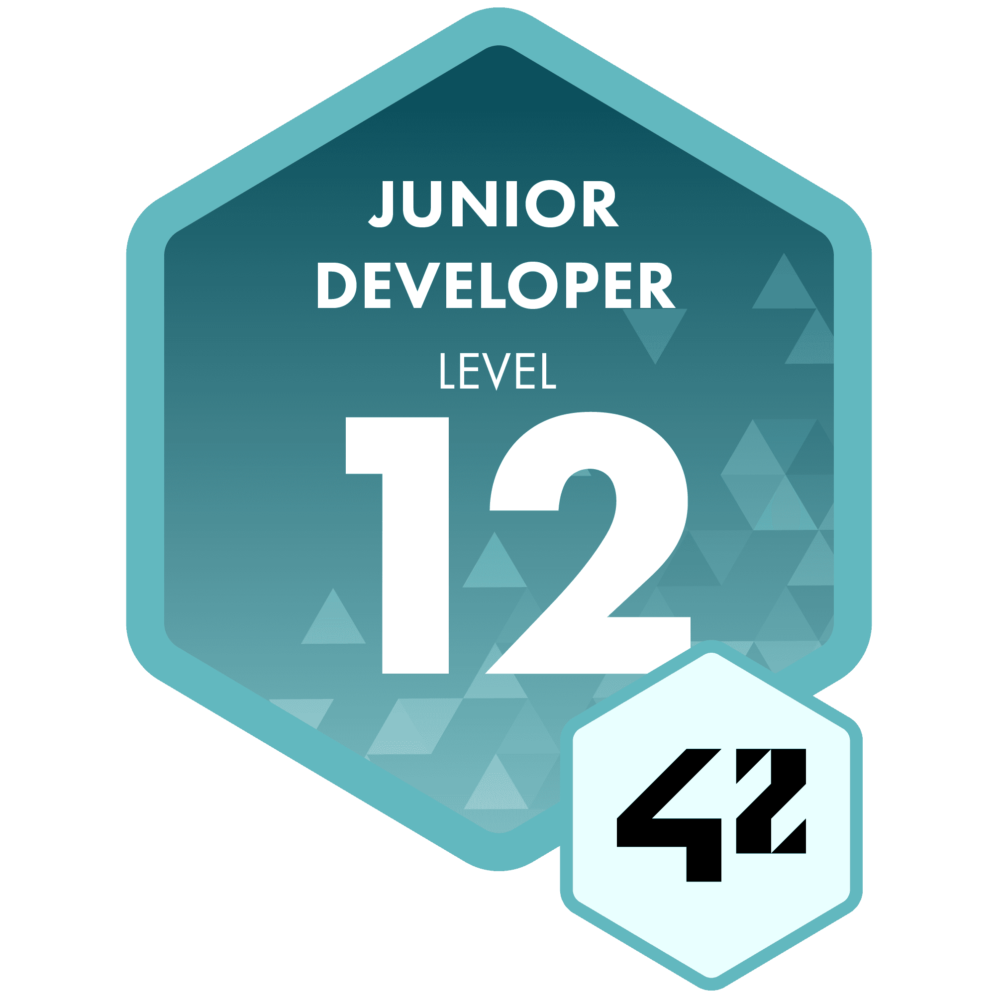 Junior Developer - Level 12