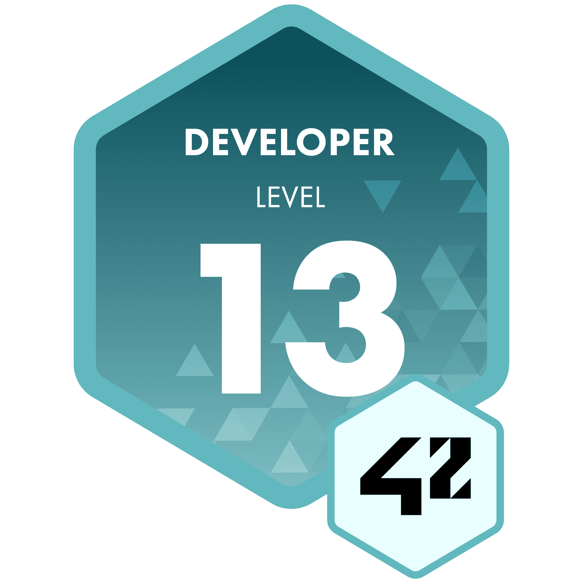 Developer - Level 13
