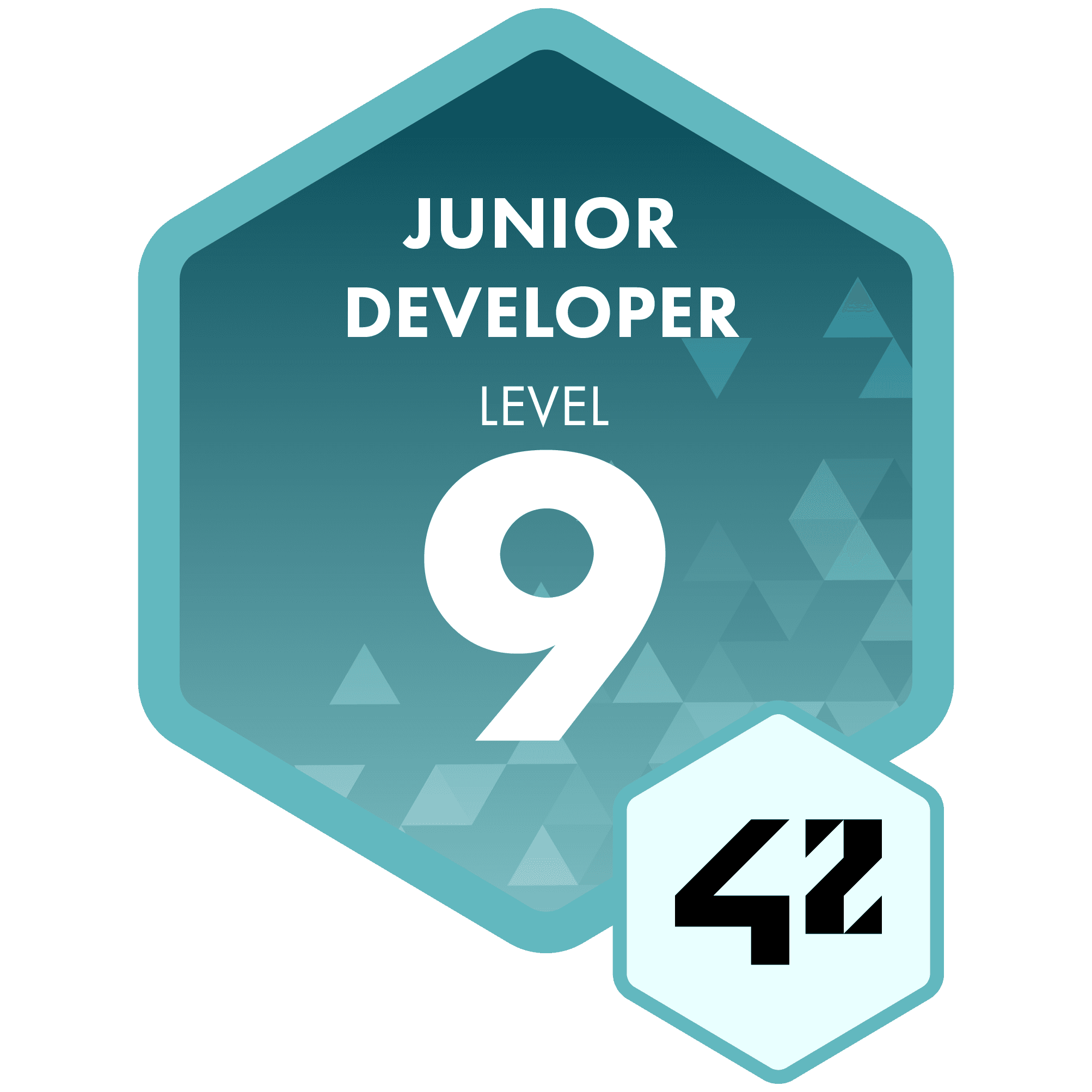 Junior Developer - Level 9